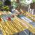 Appartements Popovic-Risan, (STD) - Studio apartman br.1, Privatunterkunft im Ort Risan, Montenegro - Terasa pogled na more 3